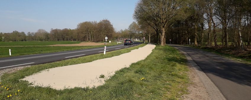 sporenbed langs provinciale weg in de Achterhoek