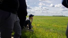 Monitoring van kuikenland.