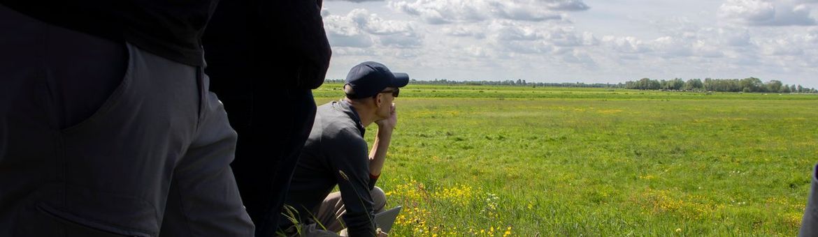 Monitoring van kuikenland.