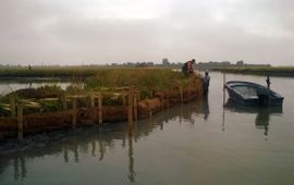 Local fishermen hired in the project place fascines to protect salt marsh edges from erosion
