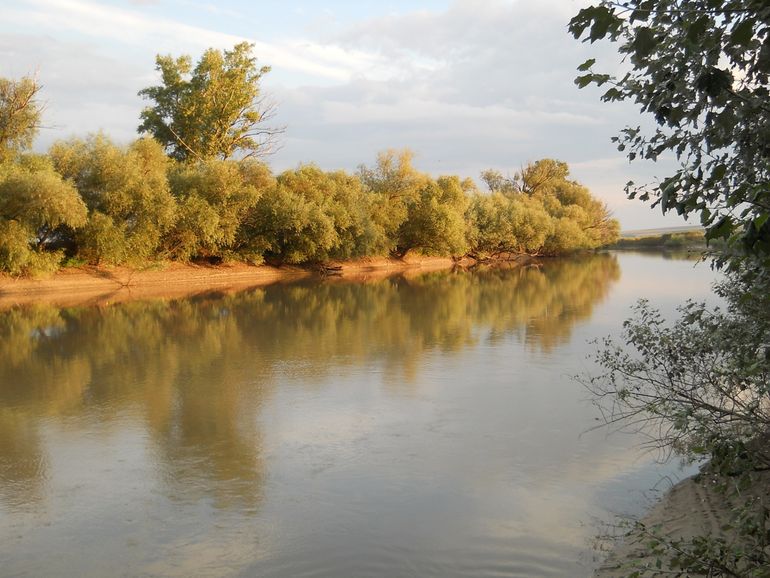 Geschikt habitat voor de Bataafse stroommossel