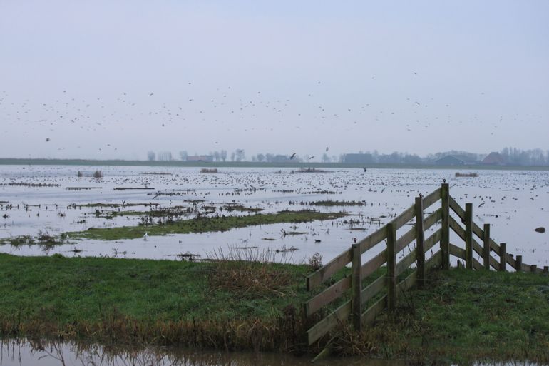 Himpensermarpolder onder water