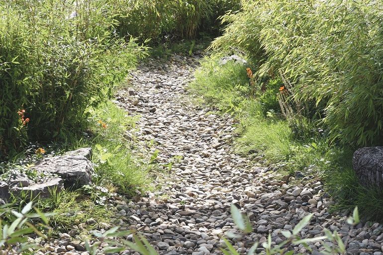 Maak je eigen natuurlijke spons in je tuin: de buienborder