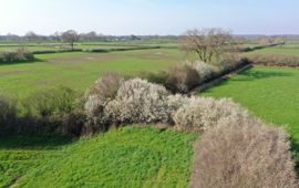 Lars van Peij Droge dooradering