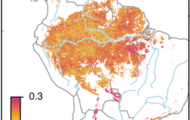 Kaart van het Amazonegebied met in lichte kleuren veel en in donkerpaars weinig dynamiek, dat wil zeggen: een klein herstelvermogen. De donkere gebieden (0.3) verkeren in een kwetsbare toestand.