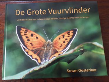 Omslag van De Grote Vuurvlinder