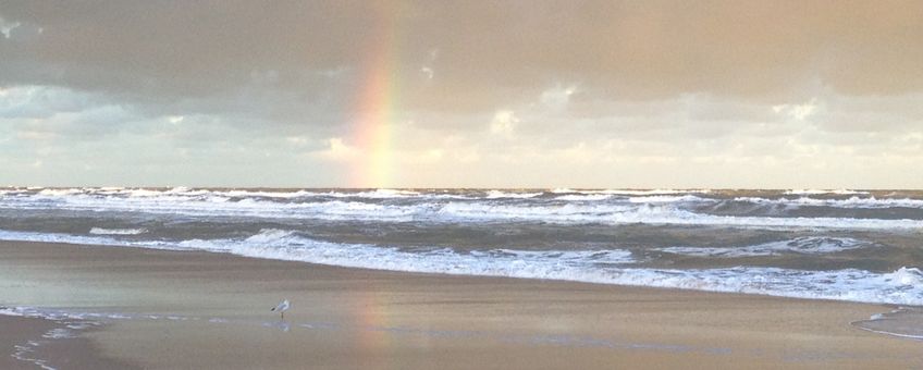 Noordzee