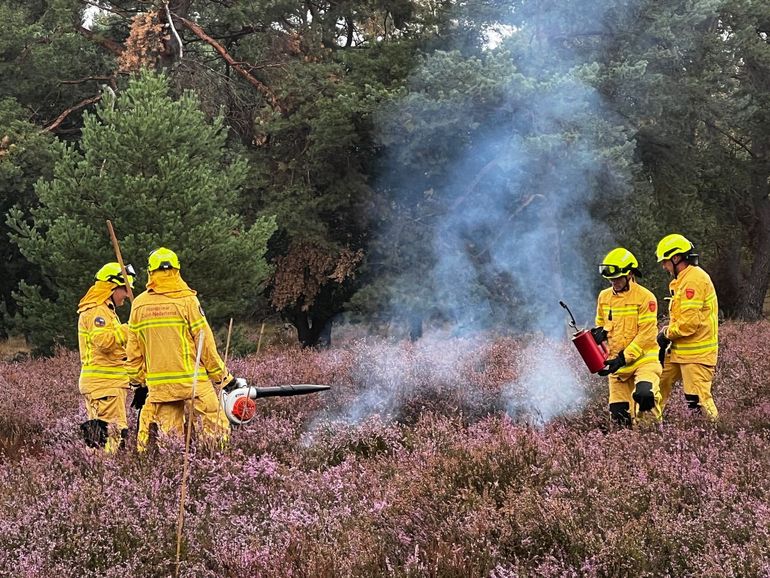 De handcrew van de brandweer zorgt voor stoplijnen om het oprukkende vuur tegen te houden