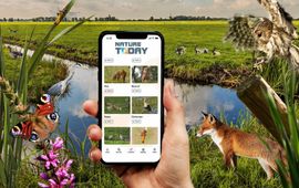 Nature Today app