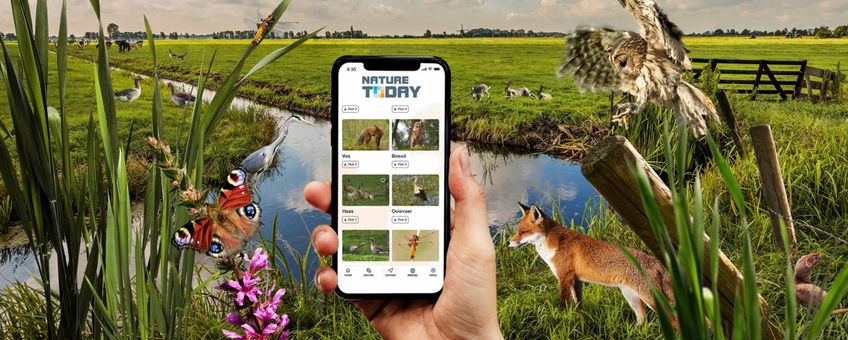 Nature Today app