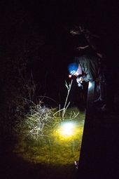 Tijdens excursies is er met sterke zaklampen gezocht naar rivierdonderpadden