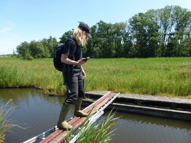 Uitdagingen tijdens monitoring in het Amsterdamse Bos