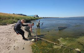 Zegenvissen voor project Zegen in de Delta