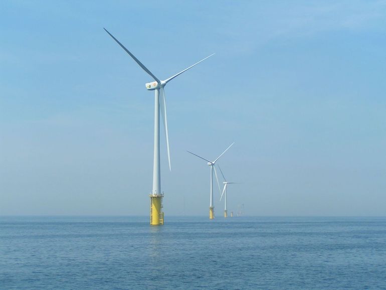 Windparken op zee brengen ecologische risico's met zich mee, maar bieden ook kansen 