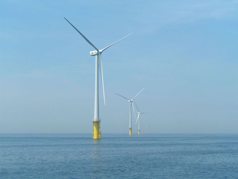 Windparken op zee brengen ecologische risico's met zich mee, maar bieden ook kansen 