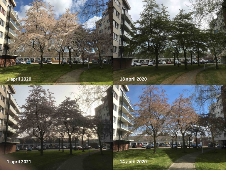 Almere. Op 1 april lijkt ontwikkeling in 2020 en 2021 ongeveer gelijk te zijn. In 2020 is de ontwikkeling doorgegaan maar in 2021 vrijwel stil blijven staan