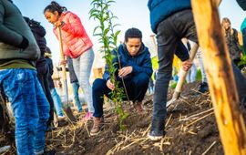 IVN Planten tiny forests