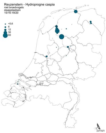 Figuur 2. Locaties van slaapplaatsen van reuzenstern in Nederland