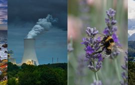 Pixabay Compilatie voor EuropeForNature