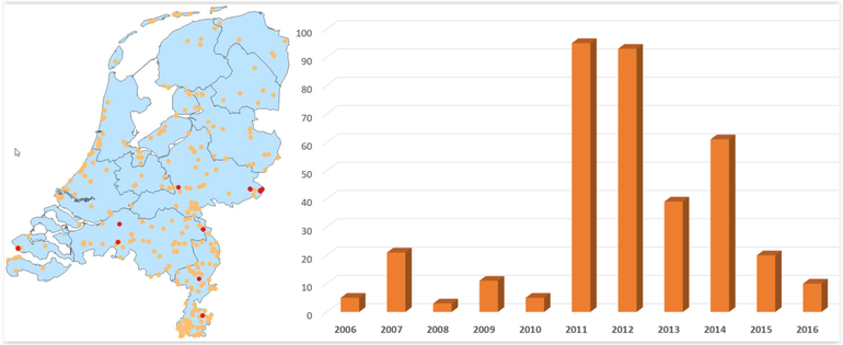Waarnemingen van grote vos in 2006-2015 (oranje) en in 2016 (rood). De grafiek toont het aantal kilometerhokken per jaar waar grote vossen zijn gemeld
