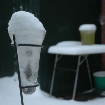 Het water in de regenmeter was in januari 2015 geheel bevroren. Midden in het ijspakket bevond zich het algenbrok met de larven van de emmermug