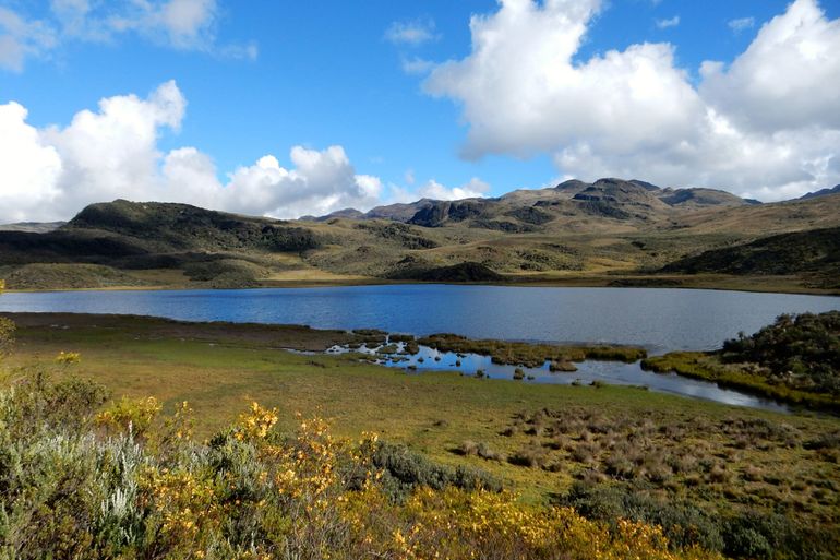 Het hoogland in Ecuador is één van de vele onderzoekslocaties van de onderzoekers van Ecosystem and Landscape Dynamics