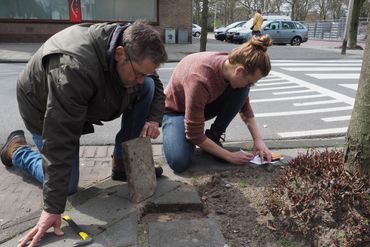 Mierenonderzoek bij EIS