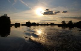 Diet Bos Loosdrechtse Plassen