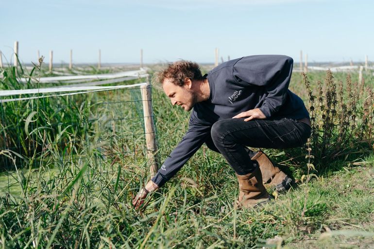 Onderzoeker Tim de Groot aan het werk in het veld