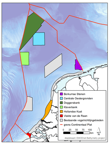 Potentiële vogelrichtlijngebieden in de Noordzee