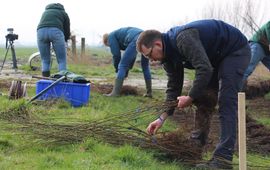 Aanplant Agroforestry op Dairy Campus (exclusief eenmalig WUR)