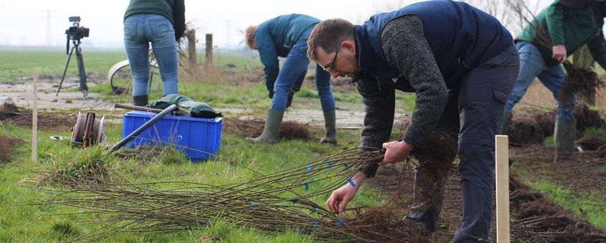 Aanplant Agroforestry op Dairy Campus (exclusief eenmalig WUR)