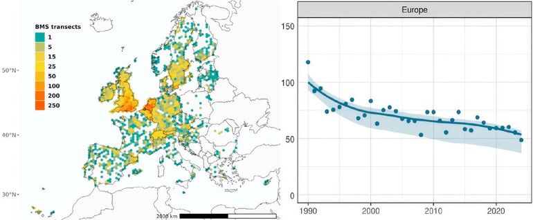 De gebruikte dagvlindermonitoringroutes in Europa en de tot en met 2024 bijgewerkte graslandvlinderindex