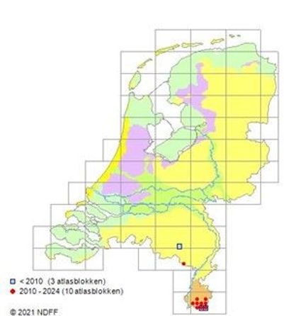 Verspreidingsgebied van de wilde kat in Nederland