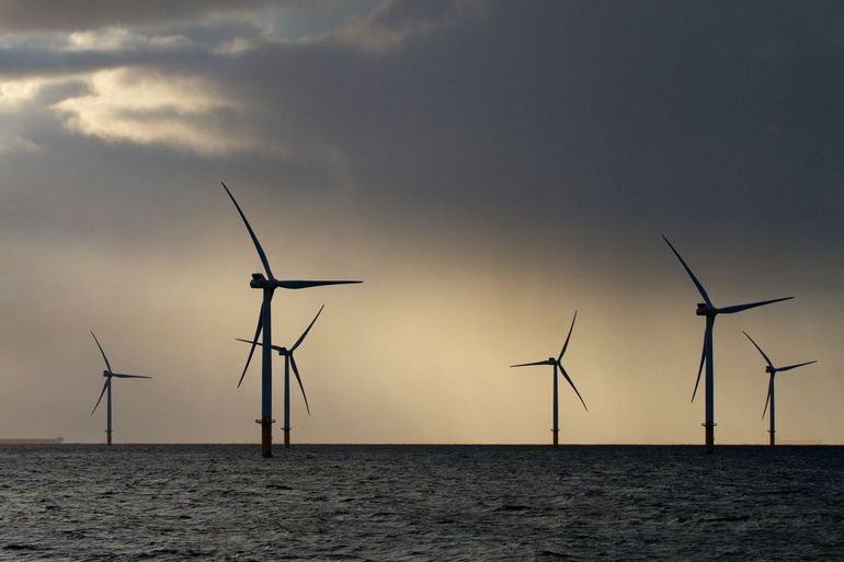 Om de Noordzeenatuur te herstellen, hebben we alle (toekomstige) gebruikers en liefhebbers van de Noordzee nodig