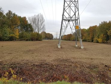 Het geklepelde stuk leefgebied van de sleedoornpage in de Kraaijenbergse plassen