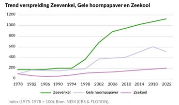 Trend van Zeekool, Gele hoornpapaver en Zeevenkel in de periode 1975 tot 2022, (index 1975-1978 = 100)