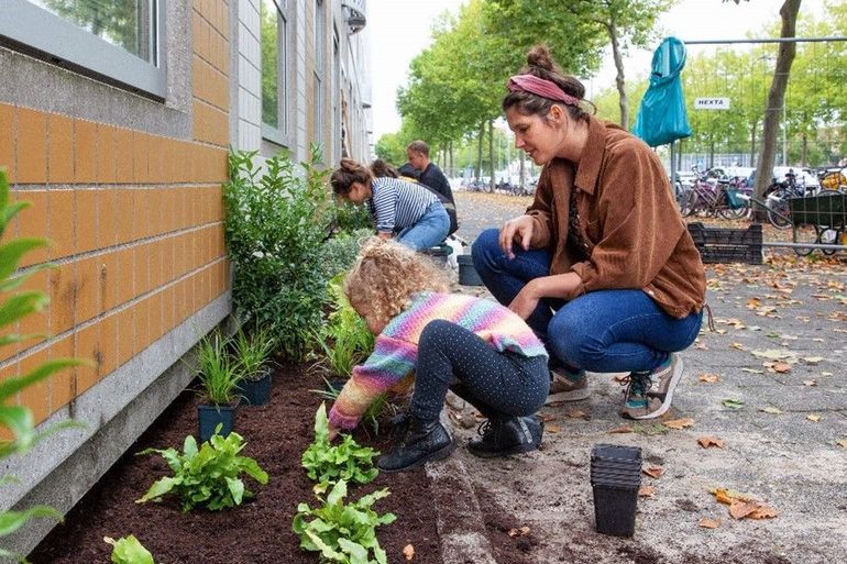 Buurtbewoners plaatsen planten in hun straat