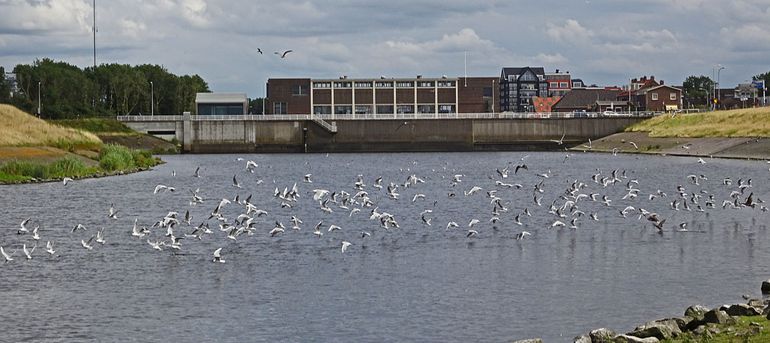 Uitwatering van de Oude Rijn in Katwijk, landinwaarts uitkijkend op het Koning Willem-Alexander gemaal, waar de Langneus-steurgarnaal zeer lang geleden al werd aangetroffen en ook nu weer kon worden aangetoond.