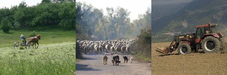 Landarbeid in Litouwen, Griekenland en Frankrijk