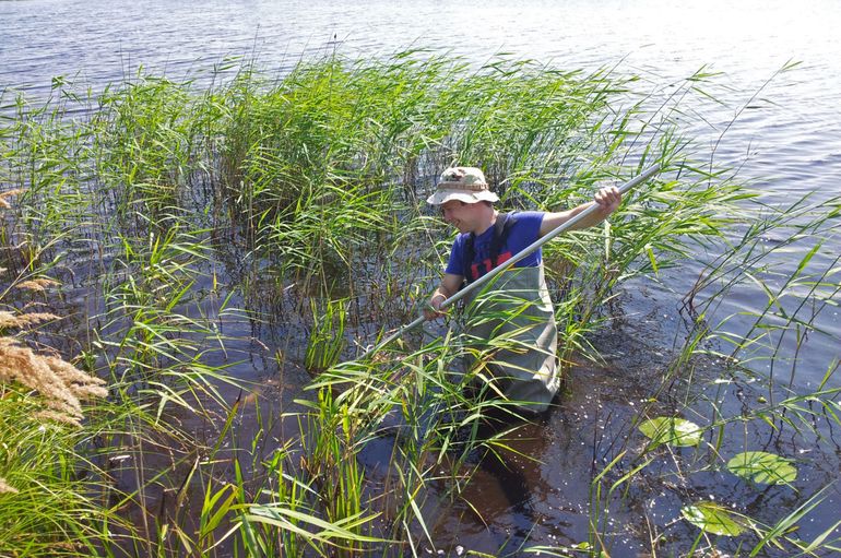 Bart Grutters studying aquatic plants