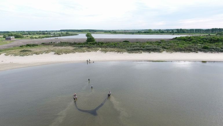 Zegenvissen in de Deltawateren