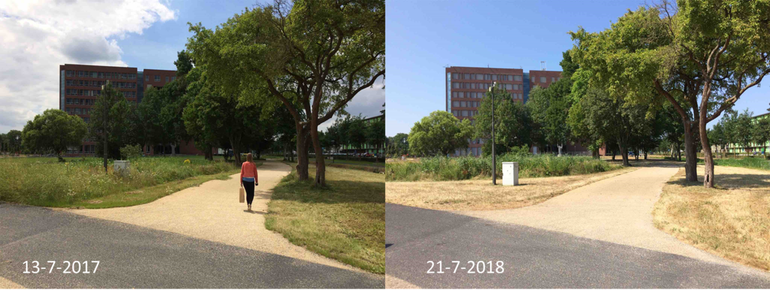 Forumgebouw Wageningen University