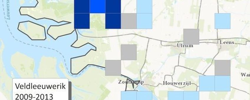 Gemiddelde dichtheden van de Veldleeuwerik 2009-2013: De Marnewaard springt eruit