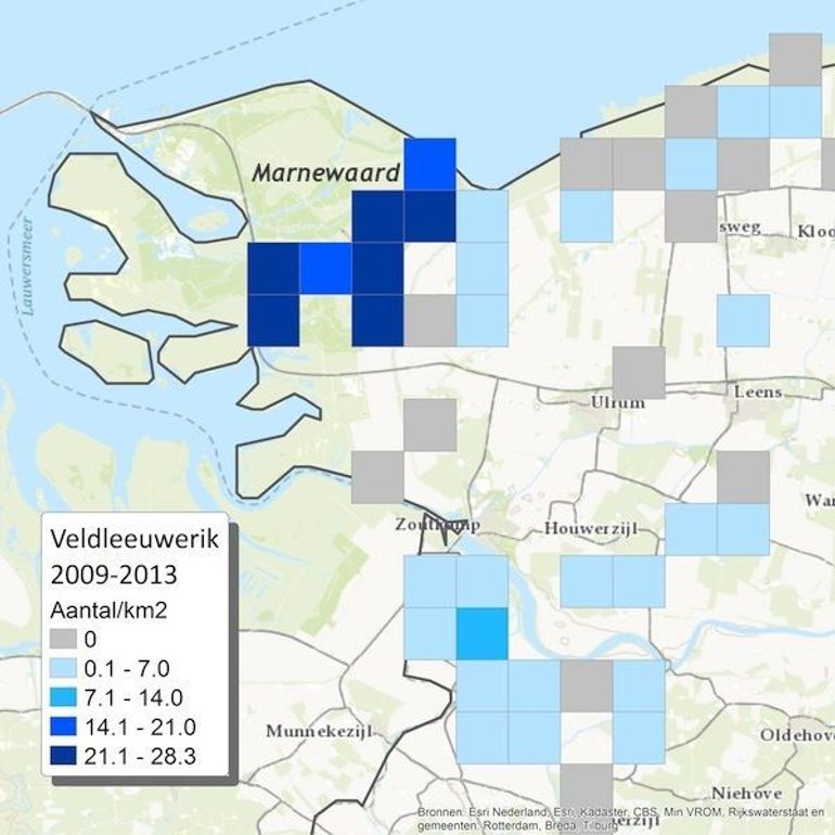 Dichtheden van de Veldleeuwerik in 2013 