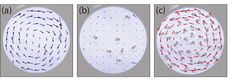 Average velocities of two (a), seven (b) and 45 (c) counter clockwise spinning pucks on the circular table. From left to right, the overall motion of the pucks changes direction from clockwise to counter clockwise