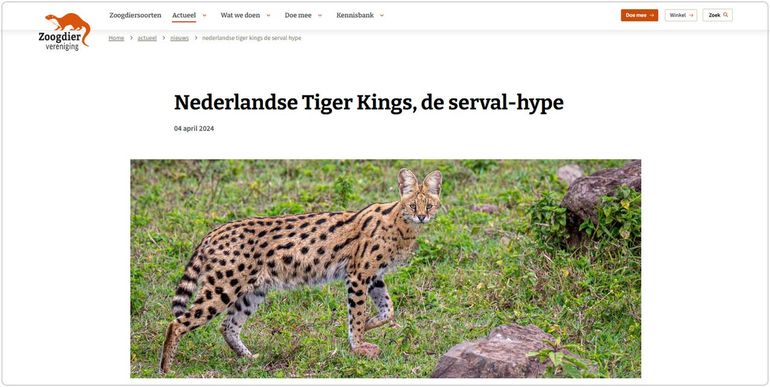 Nieuwsbericht 'Nederlandse Tiger Kings, de serval-hype'