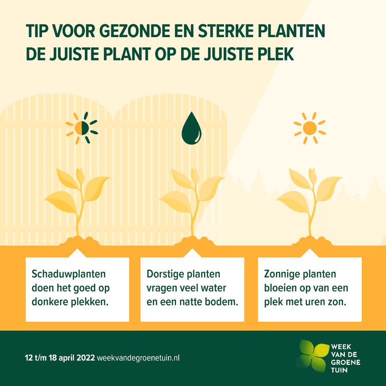 Tip voor gezonde en sterke planten