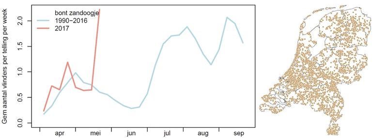Links: Indicatie van de aantallen bont zandoogjes in de routes in het voorjaar van 2017 (rood) vergeleken met het langjarig gemiddelde (blauw). Rechts: kaartje met de waarnemingen van het bont zandoogje in 2017, tot 1 juni