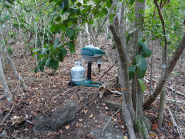 One of the mosquito traps just outside the crater of the Quill volcano on St. Eustatius 
